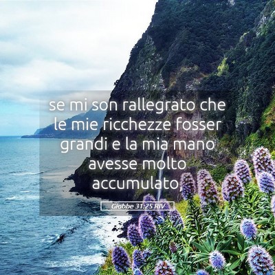 Picture 05 - Giobbe 31:25 RIV - se mi son rallegrato che le mie ricchezze fosser - Bible Verse Picture
