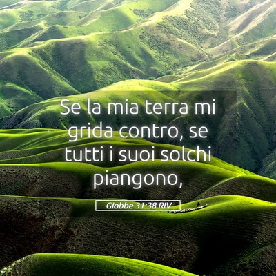 Picture 05 - Giobbe 31:38 RIV - Se la mia terra mi grida contro, se tutti i suoi - Bible Verse Picture