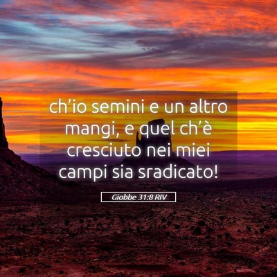 Picture 05 - Giobbe 31:8 RIV - ch’io semini e un altro mangi, e quel ch’è - Bible Verse Picture