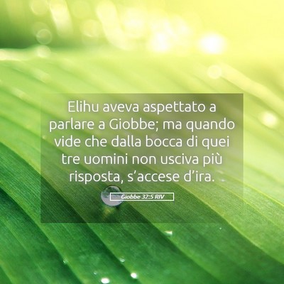 Picture 05 - Giobbe 32:5 RIV - Elihu aveva aspettato a parlare a Giobbe; ma - Bible Verse Picture