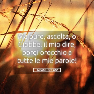 Picture 05 - Giobbe 33:1 RIV - Ma pure, ascolta, o Giobbe, il mio dire, porgi - Bible Verse Picture