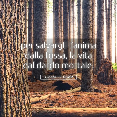 Picture 05 - Giobbe 33:18 RIV - per salvargli l’anima dalla fossa, la vita dal - Bible Verse Picture