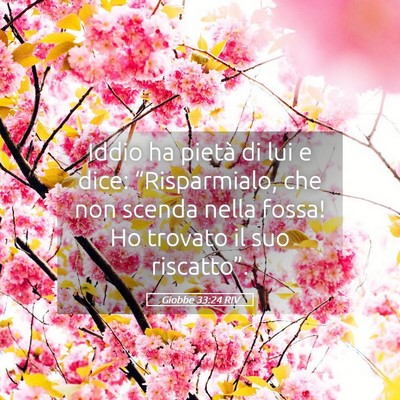 Picture 05 - Giobbe 33:24 RIV - Iddio ha pietà di lui e dice: “Risparmialo, - Bible Verse Picture