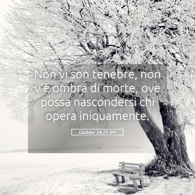 Picture 05 - Giobbe 34:22 RIV - Non vi son tenebre, non v’è ombra di morte, - Bible Verse Picture