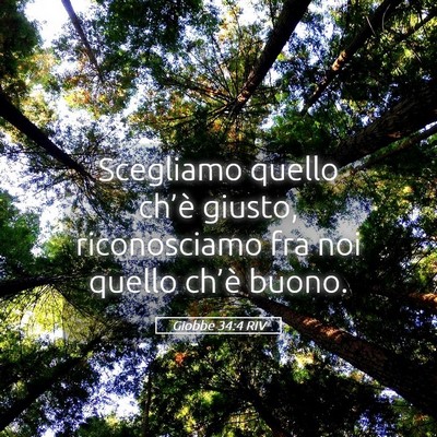 Picture 05 - Giobbe 34:4 RIV - Scegliamo quello ch’è giusto, riconosciamo fra - Bible Verse Picture
