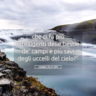Picture 05 - Giobbe 35:11 RIV - che ci fa più intelligenti delle bestie de’ - Bible Verse Picture