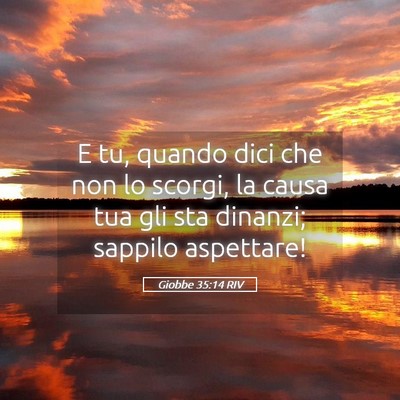 Picture 05 - Giobbe 35:14 RIV - E tu, quando dici che non lo scorgi, la causa tua - Bible Verse Picture