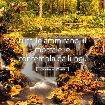 Picture 05 - Giobbe 36:25 RIV - tutti le ammirano, il mortale le contempla da - Bible Verse Picture