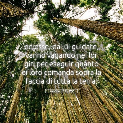 Picture 05 - Giobbe 37:12 RIV - ed esse, da lui guidate, vanno vagando nei lor - Bible Verse Picture