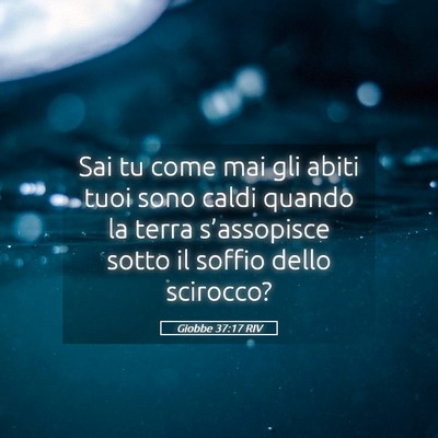 Picture 05 - Giobbe 37:17 RIV - Sai tu come mai gli abiti tuoi sono caldi quando - Bible Verse Picture