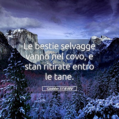 Picture 05 - Giobbe 37:8 RIV - Le bestie selvagge vanno nel covo, e stan - Bible Verse Picture