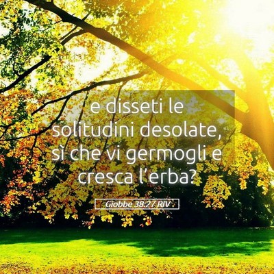 Picture 05 - Giobbe 38:27 RIV - e disseti le solitudini desolate, sì che vi - Bible Verse Picture
