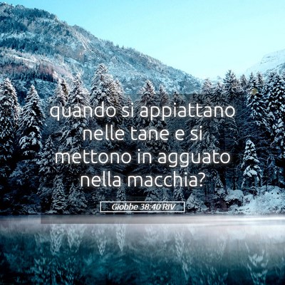 Picture 05 - Giobbe 38:40 RIV - quando si appiattano nelle tane e si mettono in - Bible Verse Picture