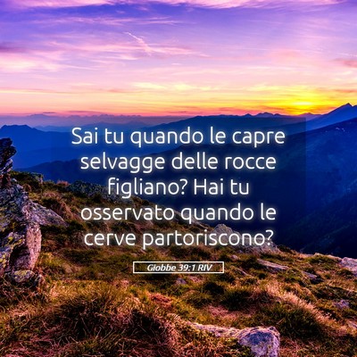 Picture 05 - Giobbe 39:1 RIV - Sai tu quando le capre selvagge delle rocce - Bible Verse Picture