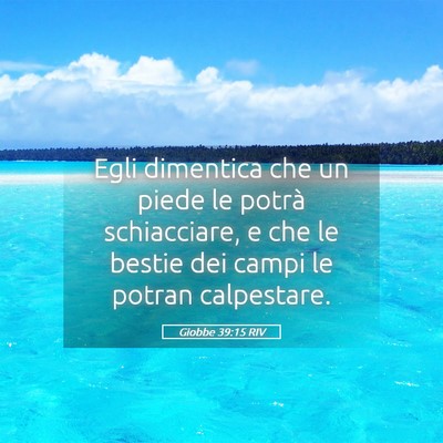 Picture 05 - Giobbe 39:15 RIV - Egli dimentica che un piede le potrà - Bible Verse Picture
