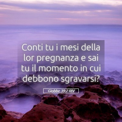 Picture 05 - Giobbe 39:2 RIV - Conti tu i mesi della lor pregnanza e sai tu il - Bible Verse Picture