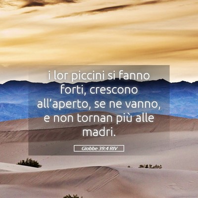 Picture 05 - Giobbe 39:4 RIV - i lor piccini si fanno forti, crescono - Bible Verse Picture