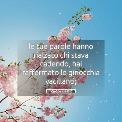 Picture 05 - Giobbe 4:4 RIV - le tue parole hanno rialzato chi stava cadendo, - Bible Verse Picture