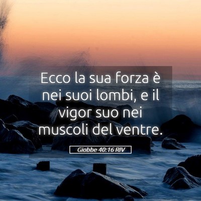 Picture 05 - Giobbe 40:16 RIV - Ecco la sua forza è nei suoi lombi, e il vigor - Bible Verse Picture