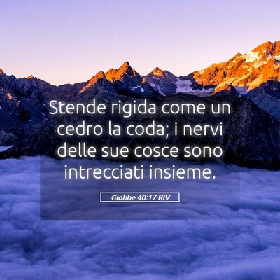 Picture 05 - Giobbe 40:17 RIV - Stende rigida come un cedro la coda; i nervi - Bible Verse Picture