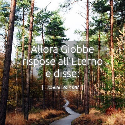 Picture 05 - Giobbe 40:3 RIV - Allora Giobbe rispose all’Eterno e - Bible Verse Picture