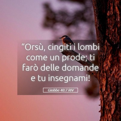 Picture 05 - Giobbe 40:7 RIV - “Orsù, cingiti i lombi come un prode; ti farò - Bible Verse Picture
