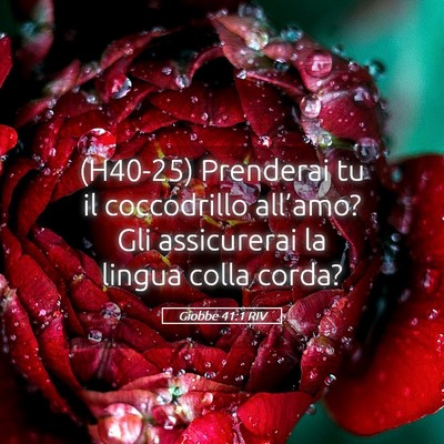 Picture 05 - Giobbe 41:1 RIV - (H40-25) Prenderai tu il coccodrillo all’amo? - Bible Verse Picture