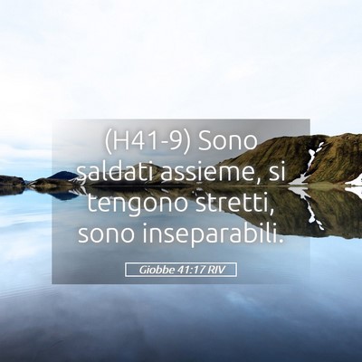 Picture 05 - Giobbe 41:17 RIV - (H41-9) Sono saldati assieme, si tengono stretti, - Bible Verse Picture