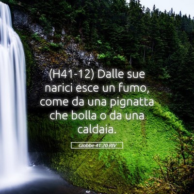 Picture 05 - Giobbe 41:20 RIV - (H41-12) Dalle sue narici esce un fumo, come da - Bible Verse Picture