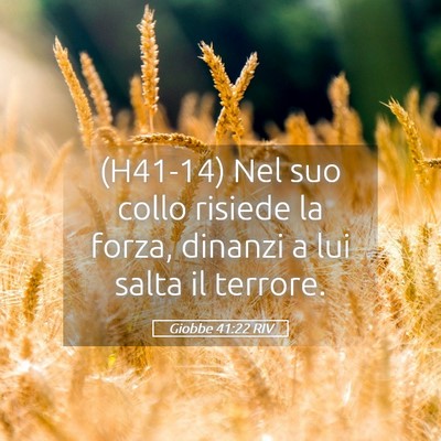 Picture 05 - Giobbe 41:22 RIV - (H41-14) Nel suo collo risiede la forza, dinanzi - Bible Verse Picture