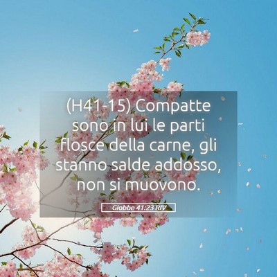 Picture 05 - Giobbe 41:23 RIV - (H41-15) Compatte sono in lui le parti flosce - Bible Verse Picture