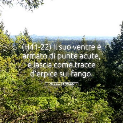 Picture 05 - Giobbe 41:30 RIV - (H41-22) Il suo ventre è armato di punte acute, - Bible Verse Picture