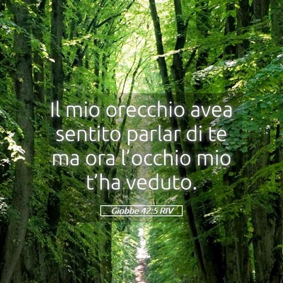Picture 05 - Giobbe 42:5 RIV - Il mio orecchio avea sentito parlar di te ma ora - Bible Verse Picture
