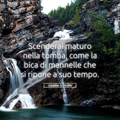 Picture 05 - Giobbe 5:26 RIV - Scenderai maturo nella tomba, come la bica di - Bible Verse Picture