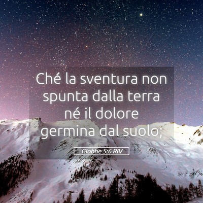 Picture 05 - Giobbe 5:6 RIV - Ché la sventura non spunta dalla terra né il - Bible Verse Picture