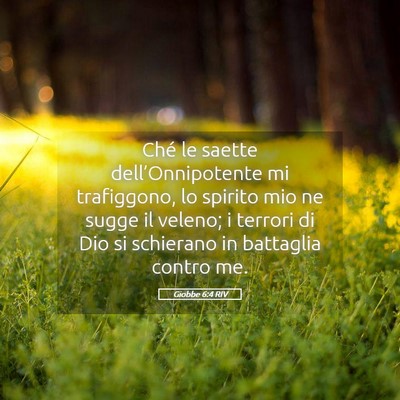 Picture 05 - Giobbe 6:4 RIV - Ché le saette dell’Onnipotente mi trafiggono, - Bible Verse Picture