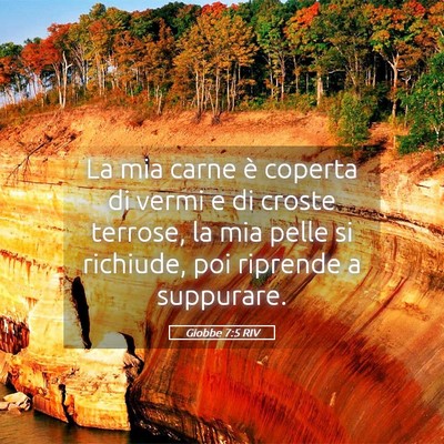 Picture 05 - Giobbe 7:5 RIV - La mia carne è coperta di vermi e di croste - Bible Verse Picture
