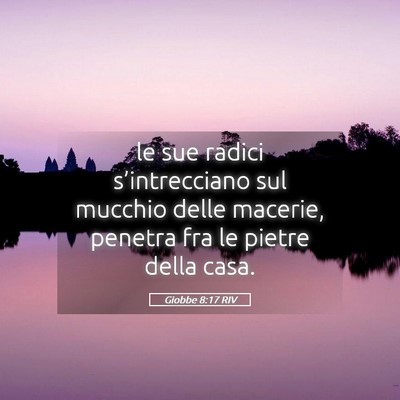 Picture 05 - Giobbe 8:17 RIV - le sue radici s’intrecciano sul mucchio delle - Bible Verse Picture