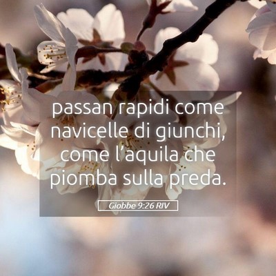 Picture 05 - Giobbe 9:26 RIV - passan rapidi come navicelle di giunchi, come - Bible Verse Picture