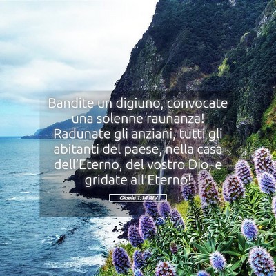 Picture 05 - Gioele 1:14 RIV - Bandite un digiuno, convocate una solenne - Bible Verse Picture