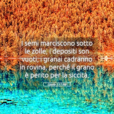 Picture 05 - Gioele 1:17 RIV - I semi marciscono sotto le zolle, i depositi son - Bible Verse Picture