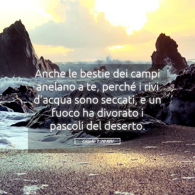 Picture 05 - Gioele 1:20 RIV - Anche le bestie dei campi anelano a te, perché i - Bible Verse Picture