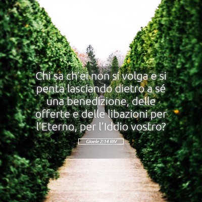 Picture 05 - Gioele 2:14 RIV - Chi sa ch’ei non si volga e si penta lasciando - Bible Verse Picture