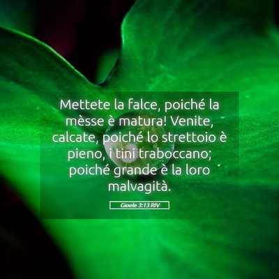 Picture 05 - Gioele 3:13 RIV - Mettete la falce, poiché la mèsse è matura! - Bible Verse Picture
