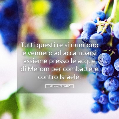Picture 05 - Giosué 11:5 RIV - Tutti questi re si riunirono e vennero ad - Bible Verse Picture