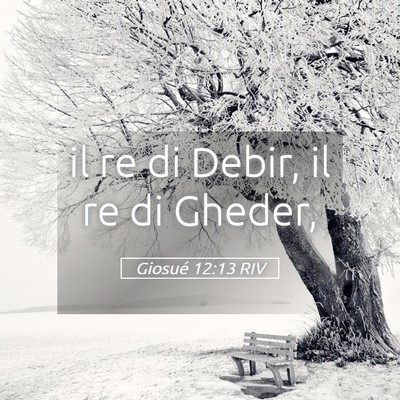 Picture 05 - Giosué 12:13 RIV - il re di Debir, il re di - Bible Verse Picture