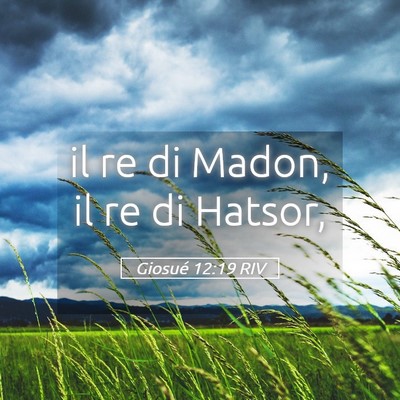 Picture 05 - Giosué 12:19 RIV - il re di Madon, il re di - Bible Verse Picture