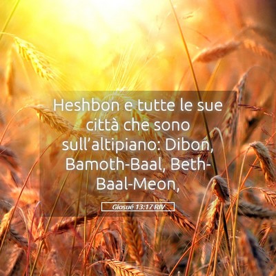 Picture 05 - Giosué 13:17 RIV - Heshbon e tutte le sue città che sono - Bible Verse Picture