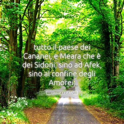 Picture 05 - Giosué 13:4 RIV - tutto il paese dei Cananei, e Meara che è dei - Bible Verse Picture