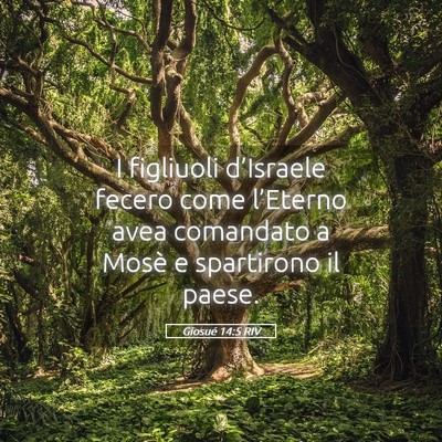 Picture 05 - Giosué 14:5 RIV - I figliuoli d’Israele fecero come l’Eterno - Bible Verse Picture